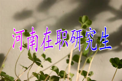 河南在職考研學歷