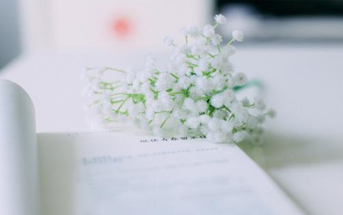 江西師范大學在職教育碩士復試