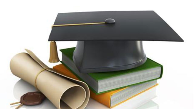 河南財經政法大學如何